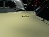 Tucker Model on Tucker Hood.jpg